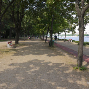 P1040501